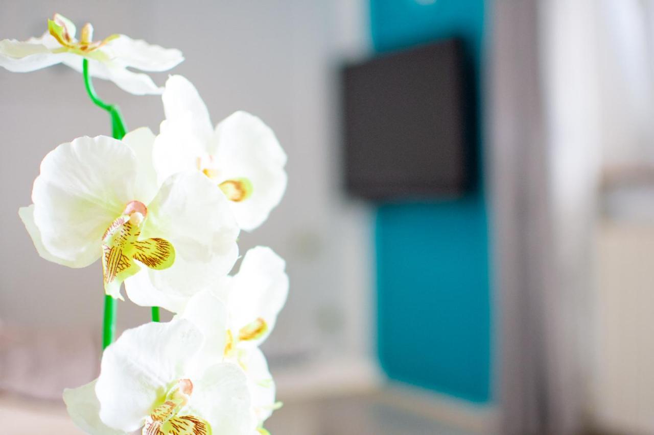 App Roko 2 Apartment Пореч Екстериор снимка